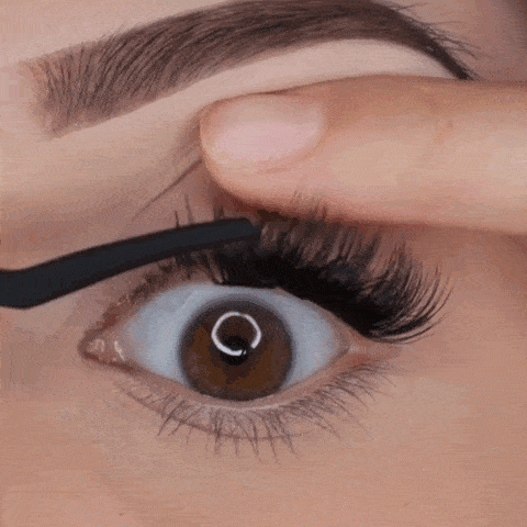 Application des grappes de cils Glowylash Image