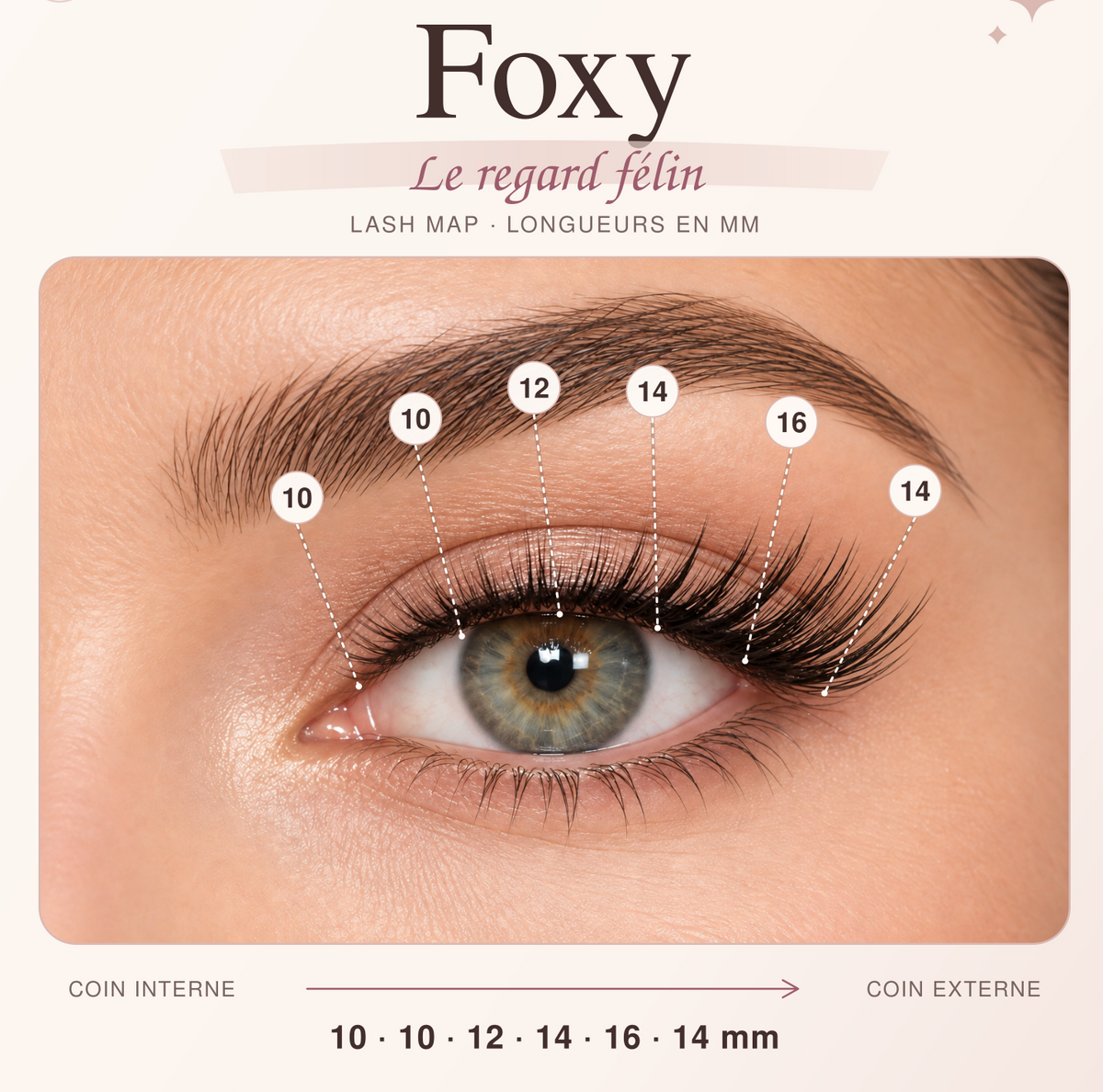 Lash map Foxy GlowyLash pour un regard félin, adaptée aux yeux en amande ou aux coins externes relevés.